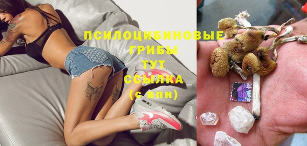 МДПВ Надым