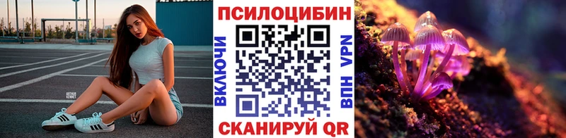 где найти   blacksprut как зайти  Псилоцибиновые грибы MAGIC MUSHROOMS  Истра 