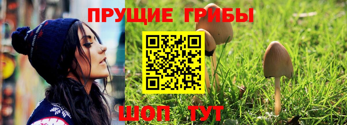 Истра  Галлюциногенные грибы GOLDEN TEACHER  Вход с VPN 