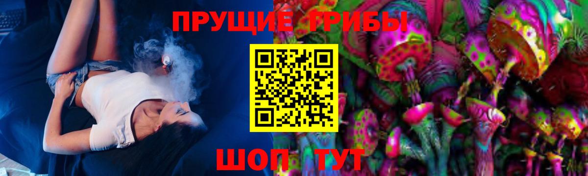 купить наркотики цена  Истра  Псилоцибиновые грибы прущие грибы 